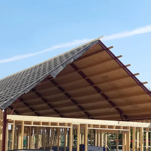 Ontwerp zonder titel1